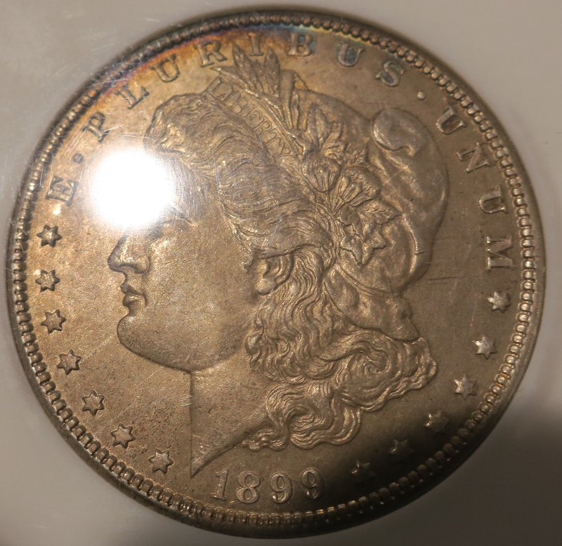 You-Vs-NGC-1899-O-Morgan-Dollar